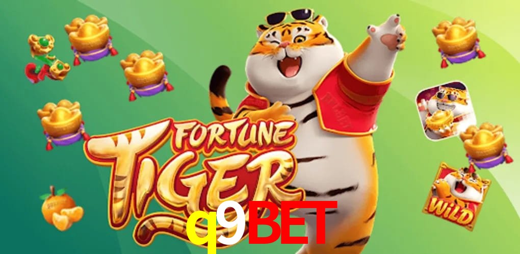 Player Reviews q9bet